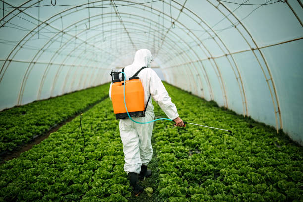Professional Pest Control in Sioux Falls, SD